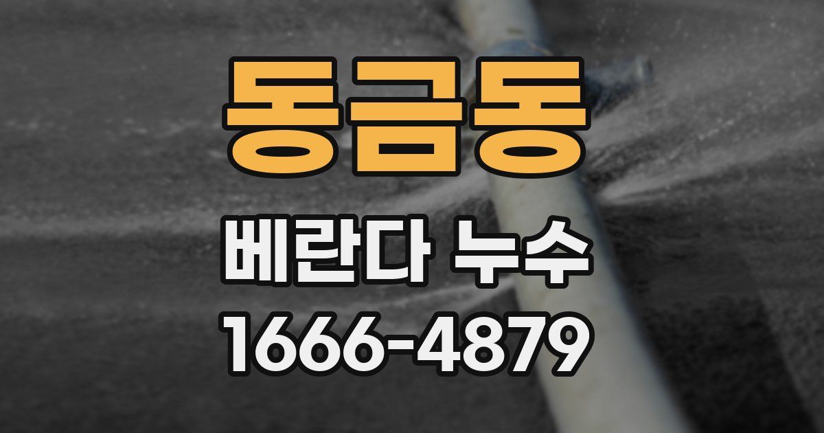 동금동 베란다 누수