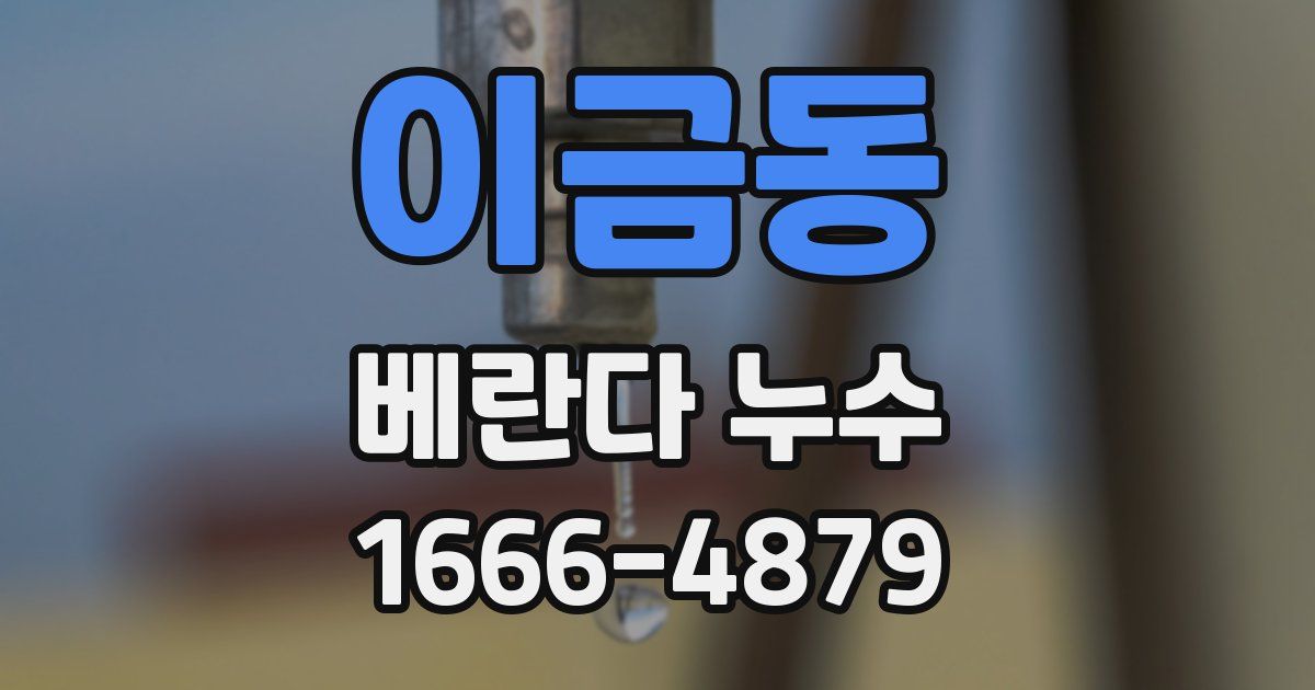 이금동 베란다 누수