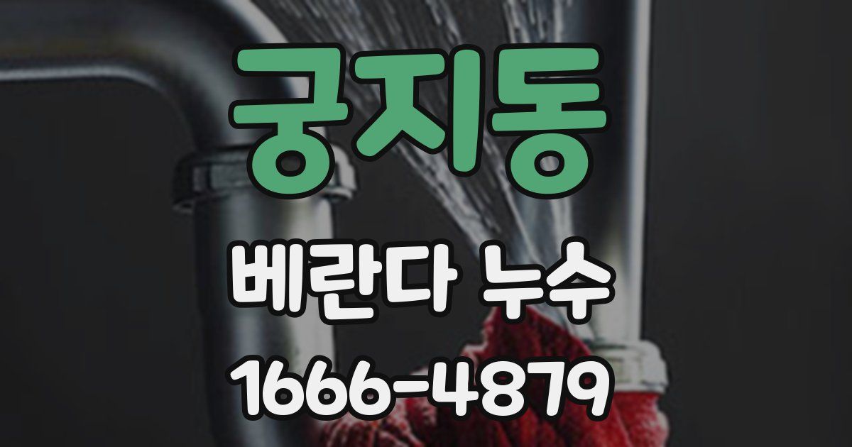 궁지동 베란다 누수