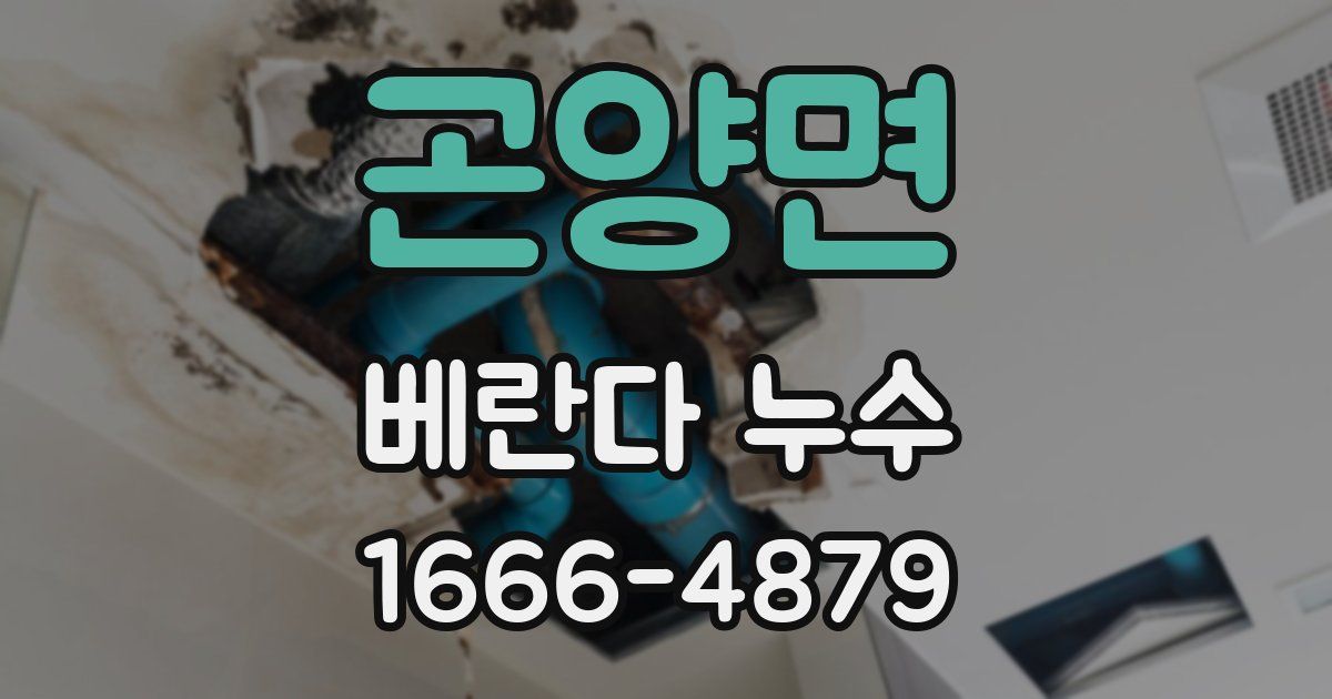 곤양면 베란다 누수