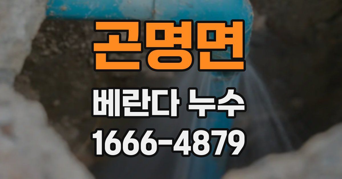 곤명면 베란다 누수