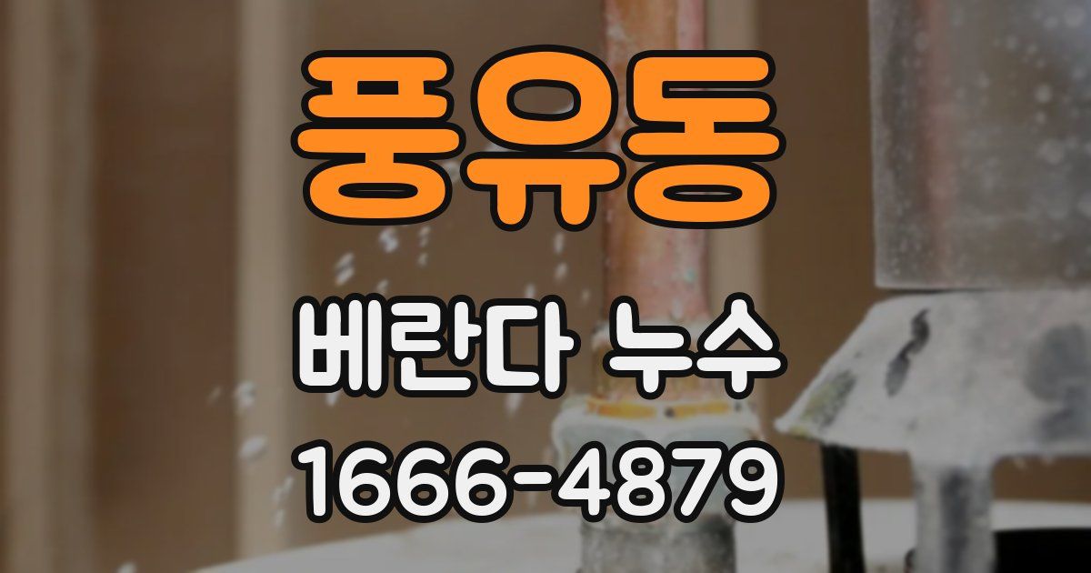 풍유동 베란다 누수