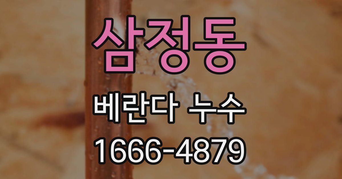 삼정동 베란다 누수