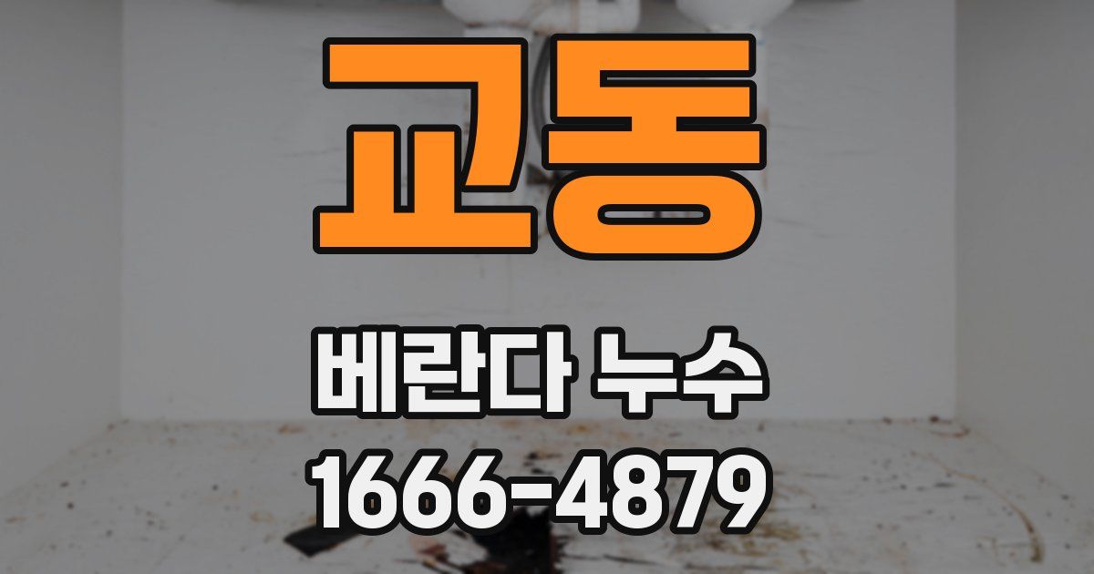 교동 베란다 누수