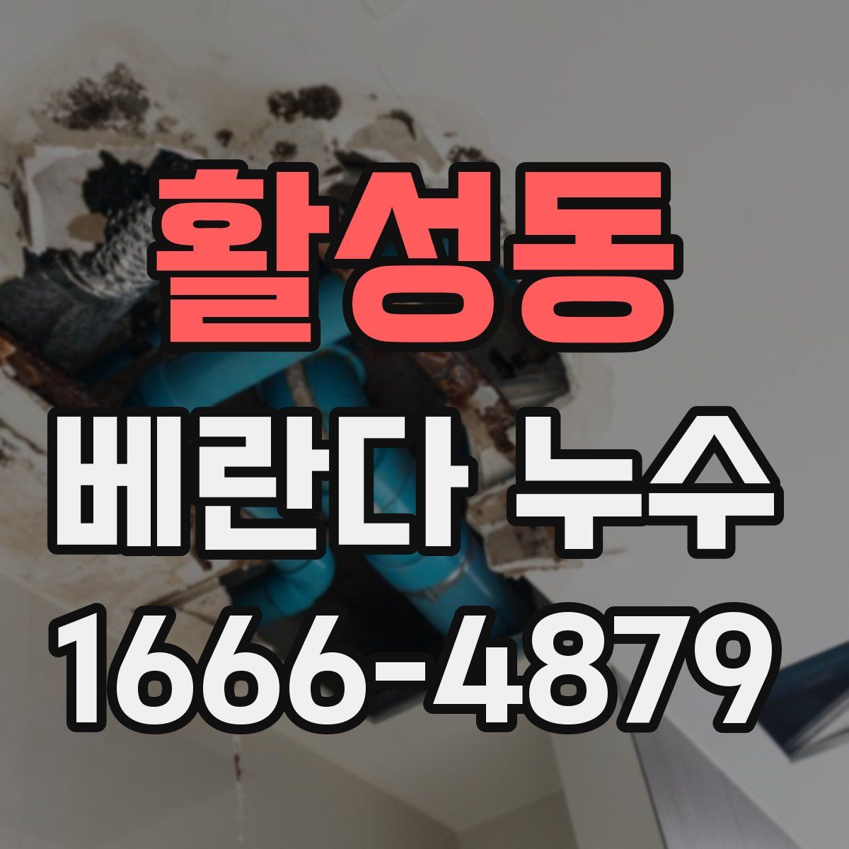 활성동 베란다 누수