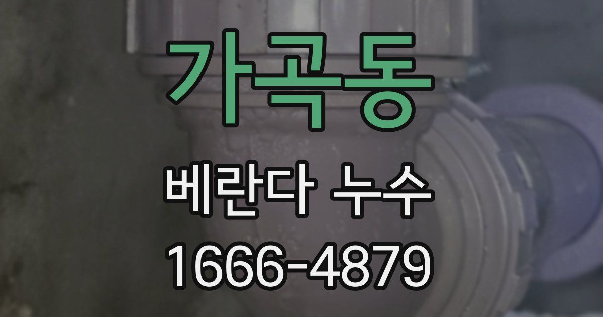 가곡동 베란다 누수