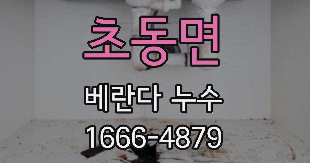 초동면 베란다 누수