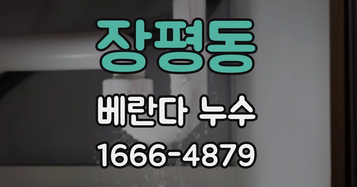 장평동 베란다 누수
