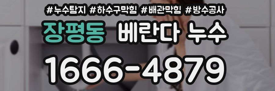 장평동 베란다 누수