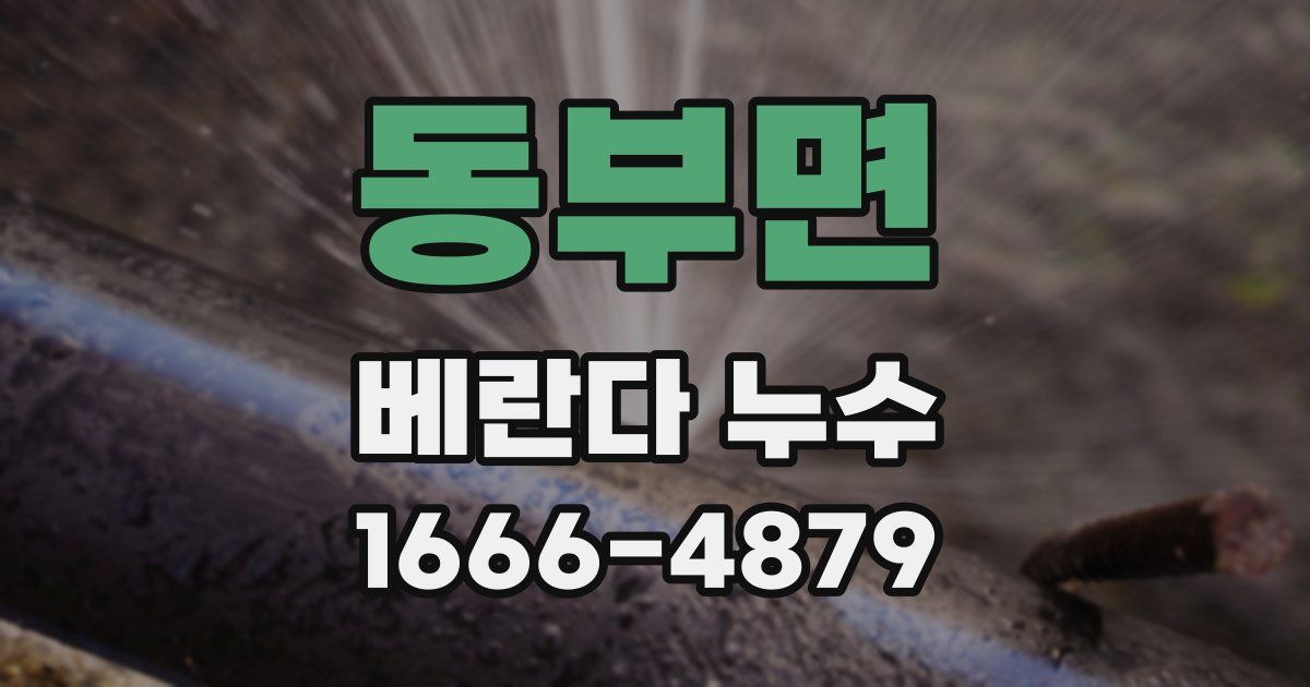 동부면 베란다 누수