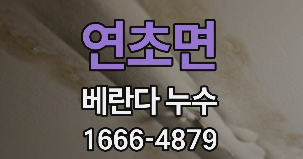 연초면 베란다 누수