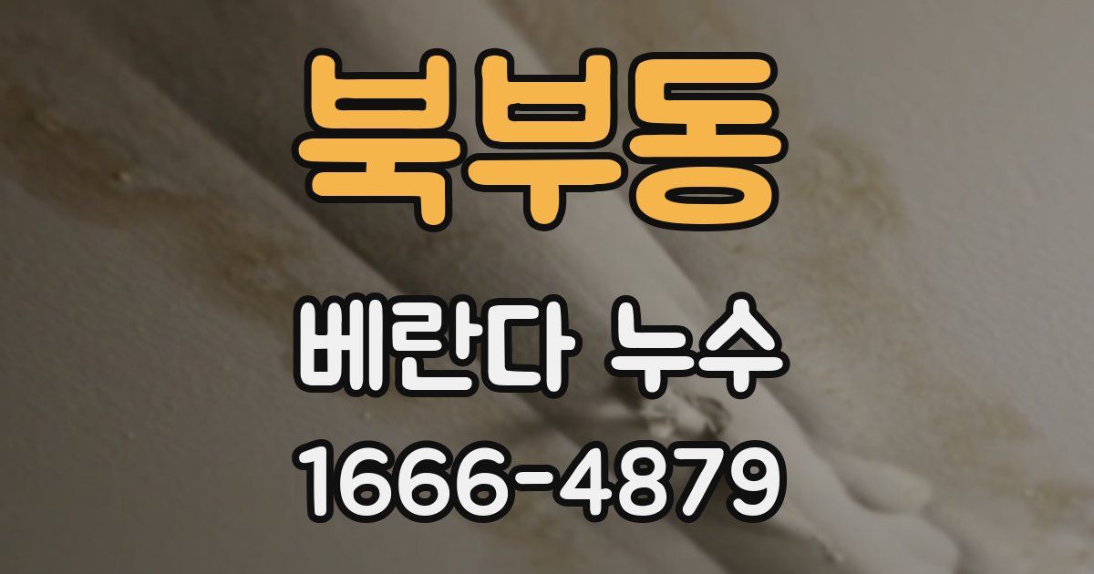 북부동 베란다 누수