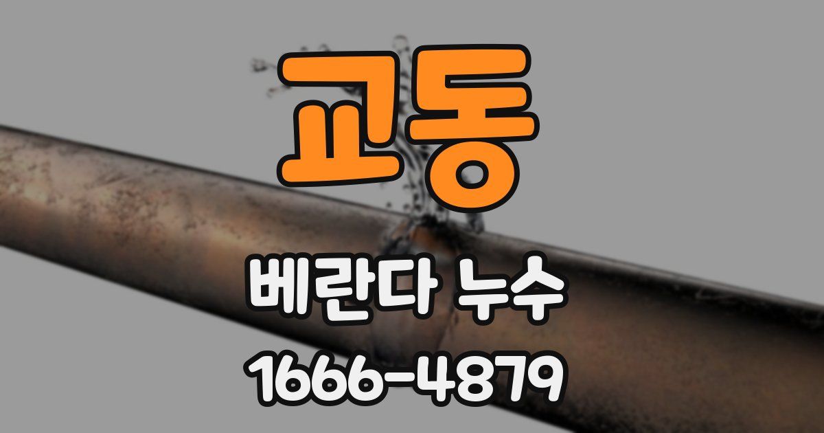 교동 베란다 누수