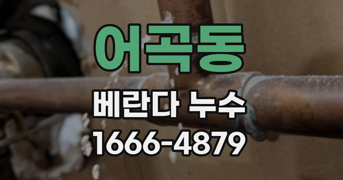 어곡동 베란다 누수