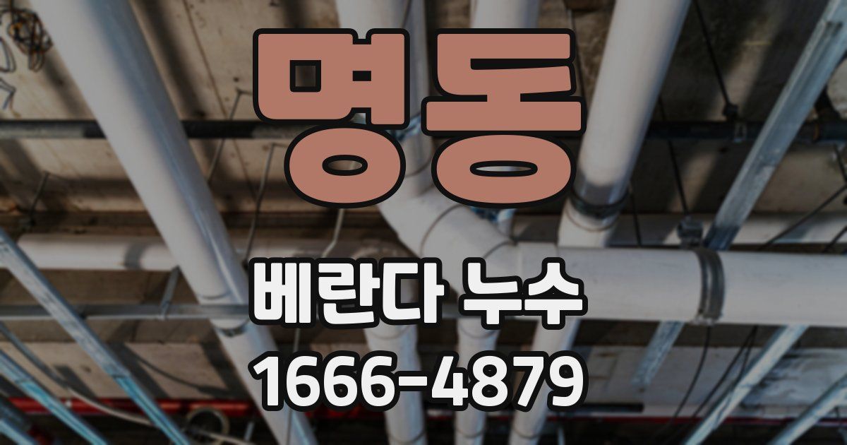 명동 베란다 누수