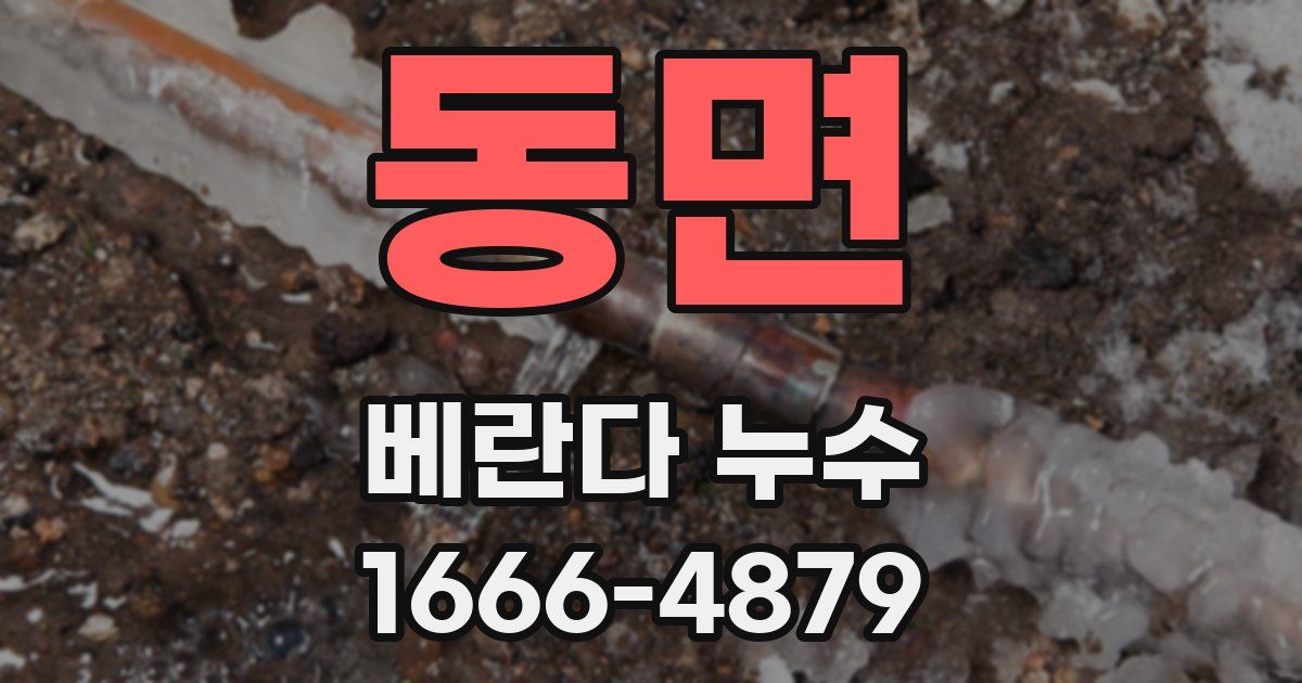 동면 베란다 누수