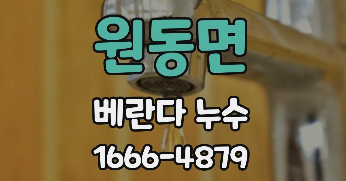 원동면 베란다 누수