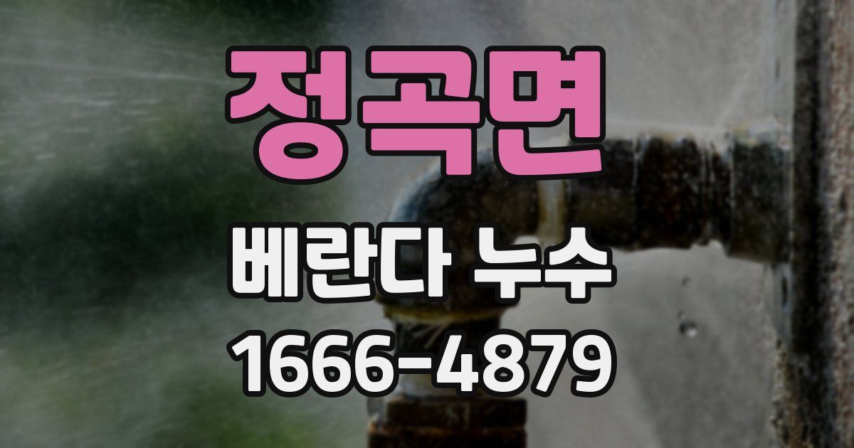 정곡면 베란다 누수