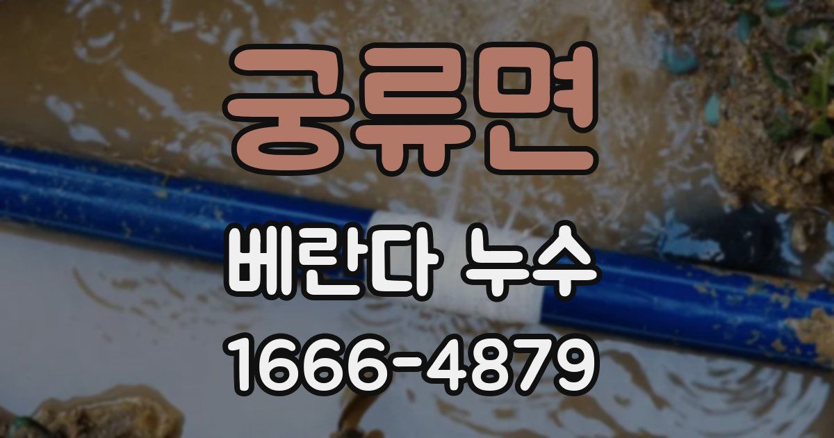궁류면 베란다 누수