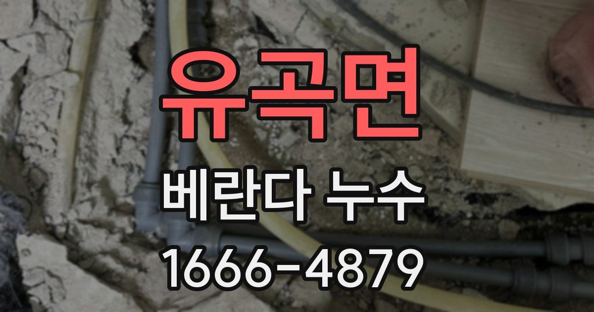 유곡면 베란다 누수