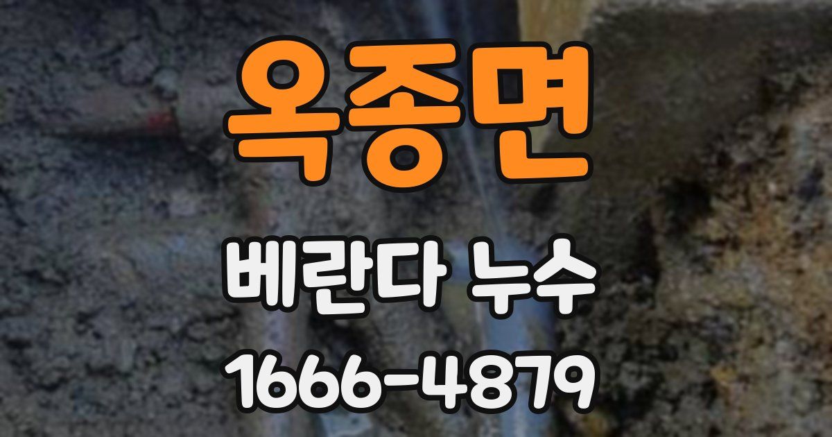 옥종면 베란다 누수