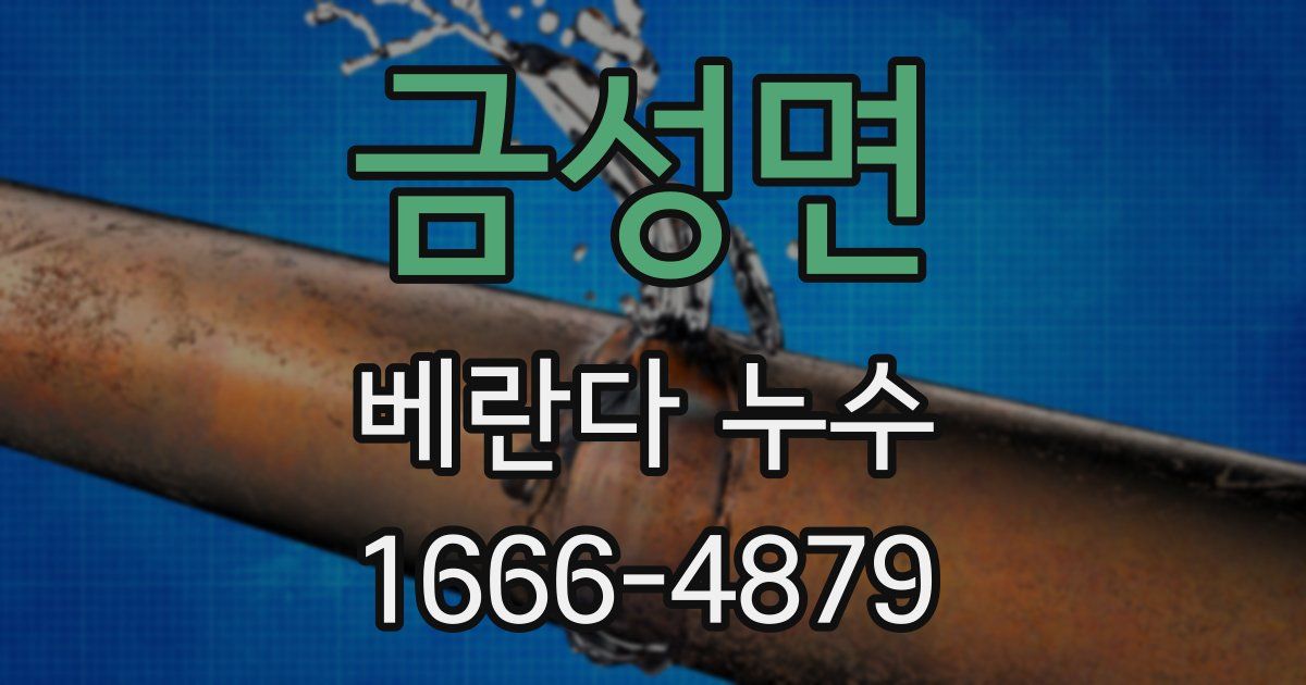 금성면 베란다 누수