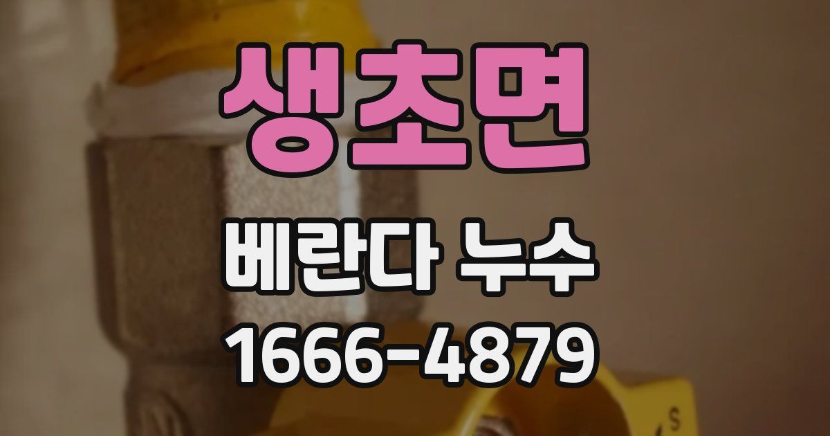 생초면 베란다 누수