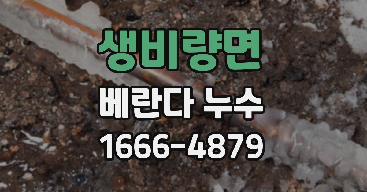 생비량면 베란다 누수