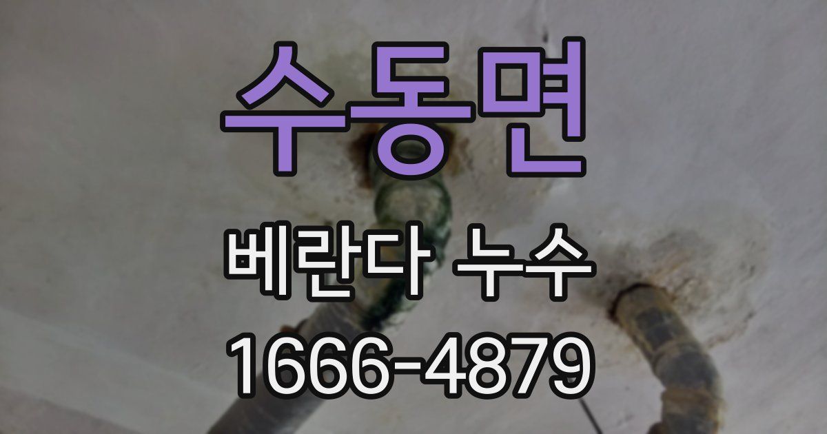 수동면 베란다 누수