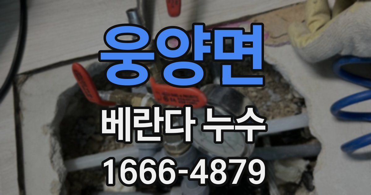 웅양면 베란다 누수