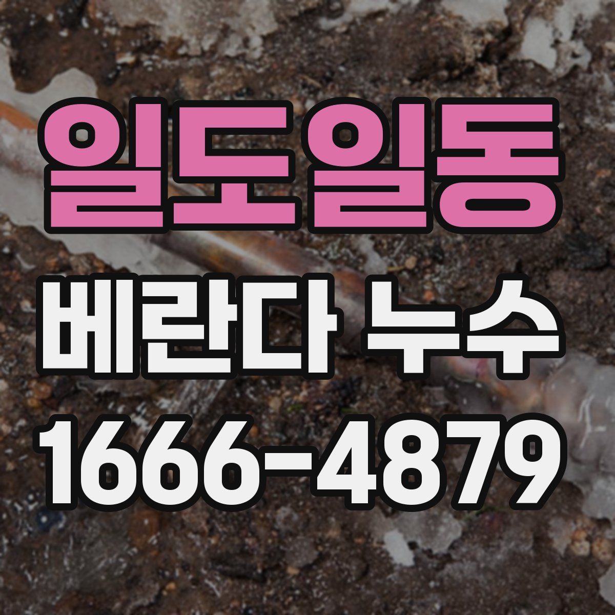 일도일동 베란다 누수