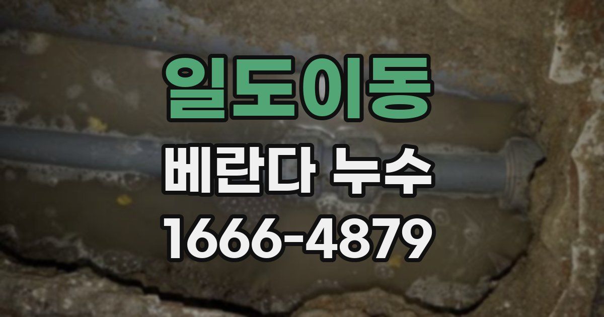 일도이동 베란다 누수