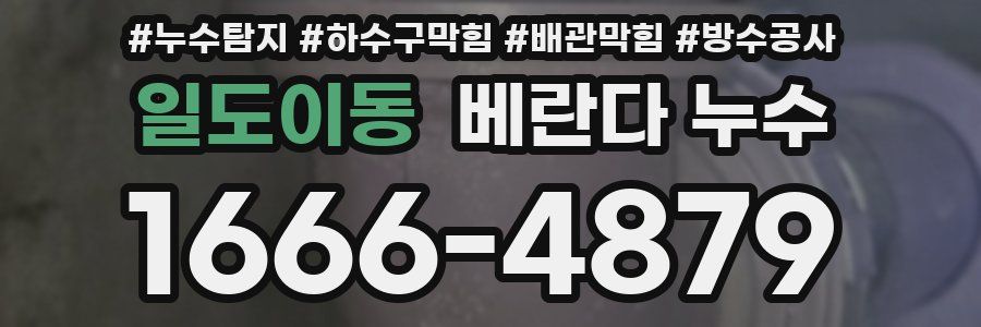 일도이동 베란다 누수