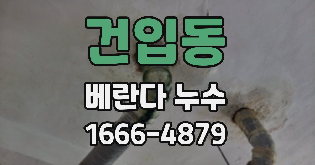 건입동 베란다 누수