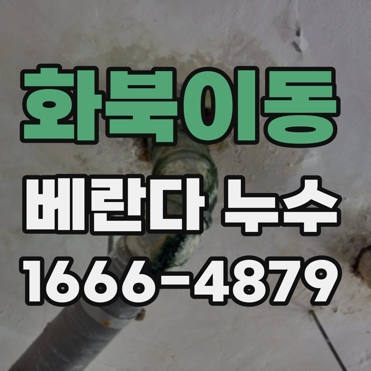 화북이동 베란다 누수