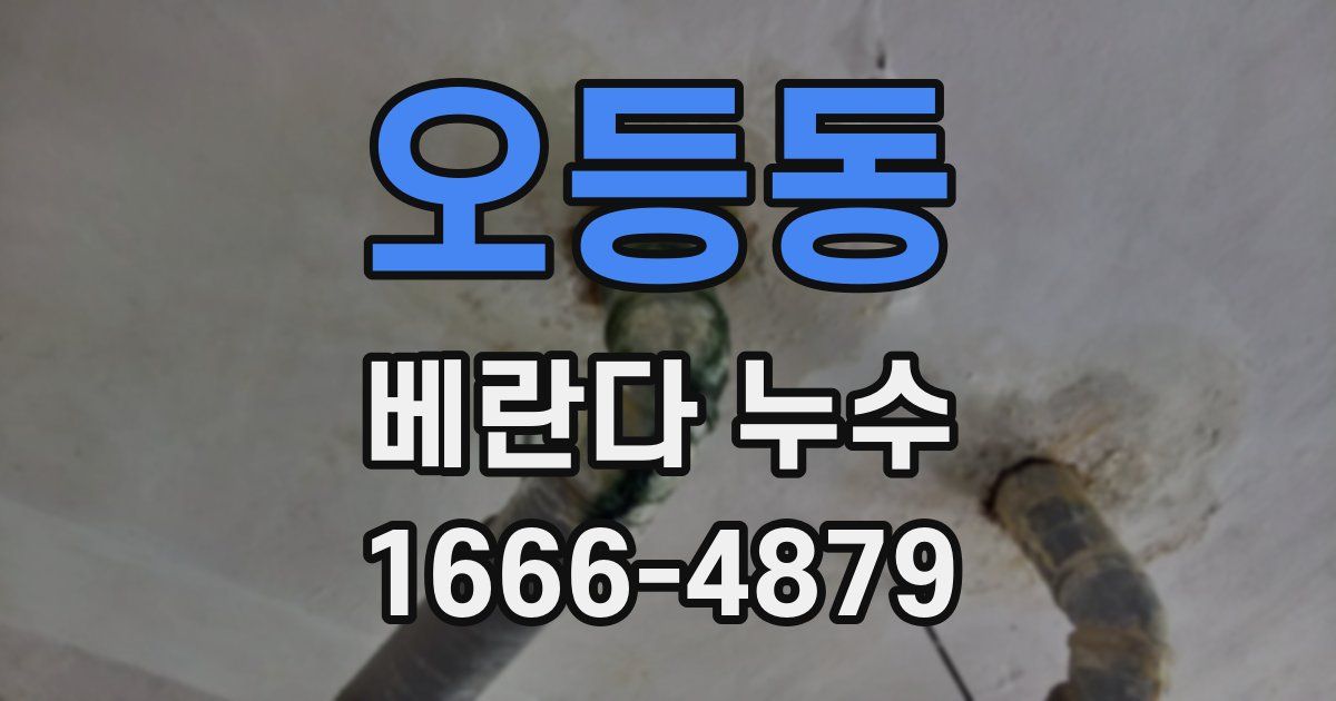 오등동 베란다 누수
