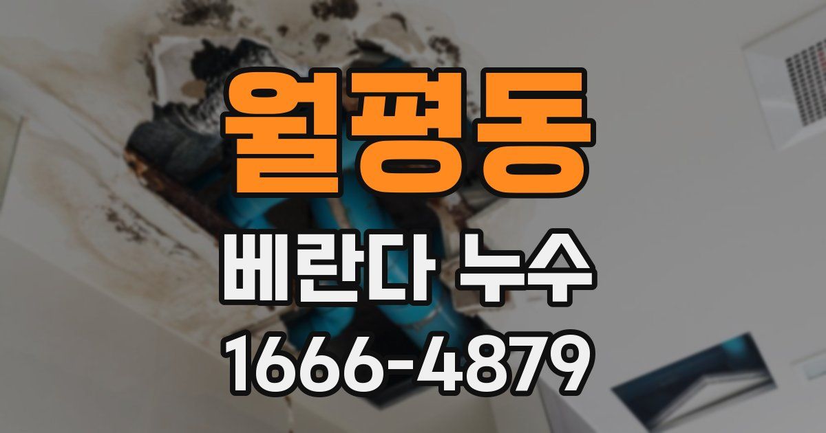 월평동 베란다 누수