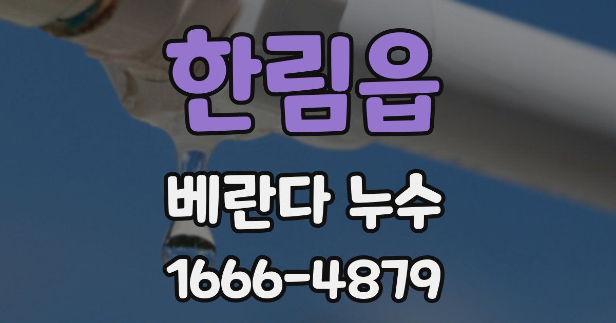 한림읍 베란다 누수