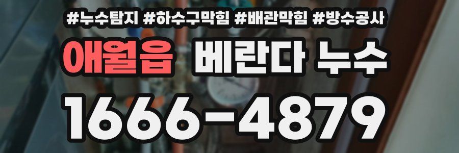 애월읍 베란다 누수