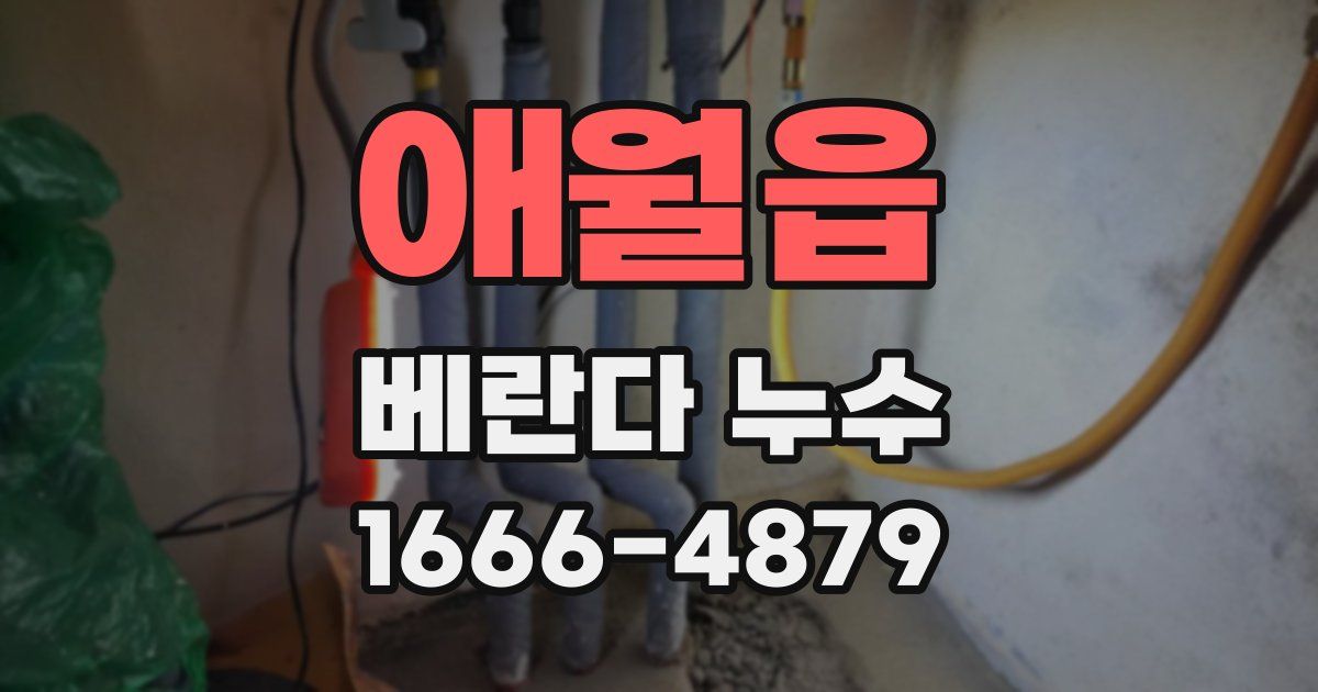애월읍 베란다 누수