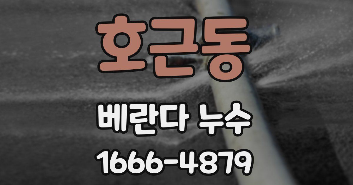 호근동 베란다 누수