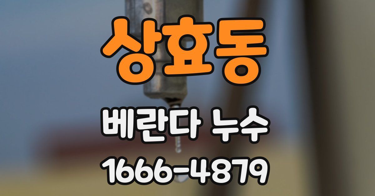 상효동 베란다 누수