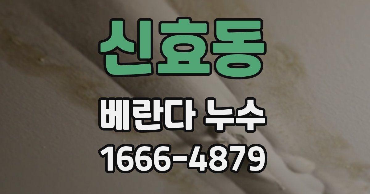 신효동 베란다 누수