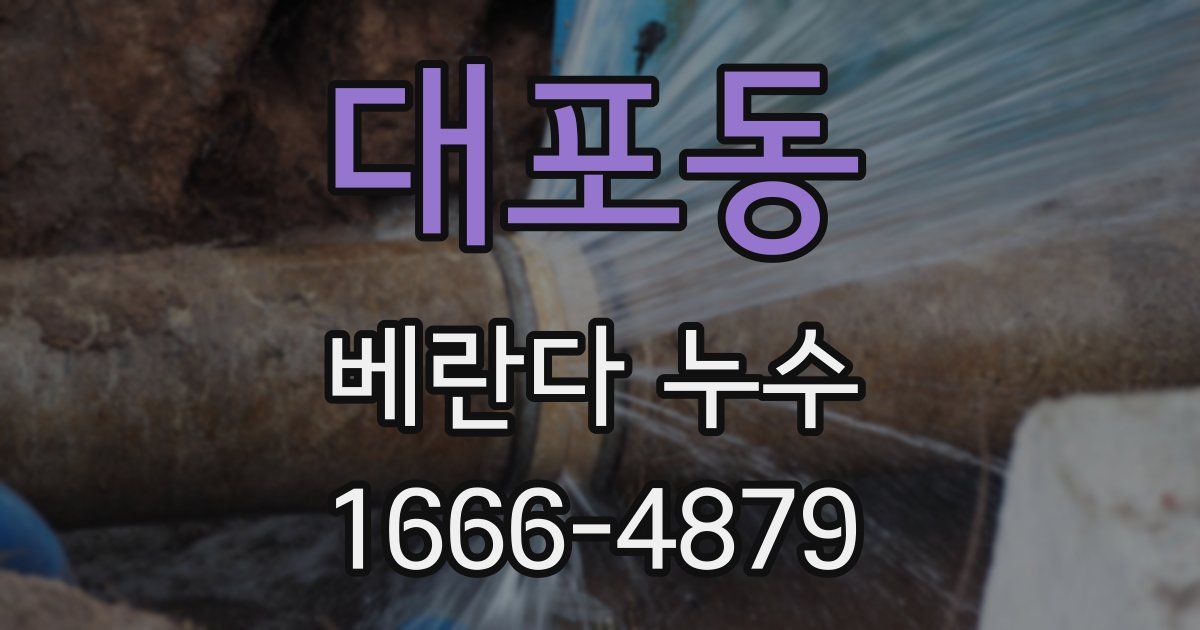 대포동 베란다 누수