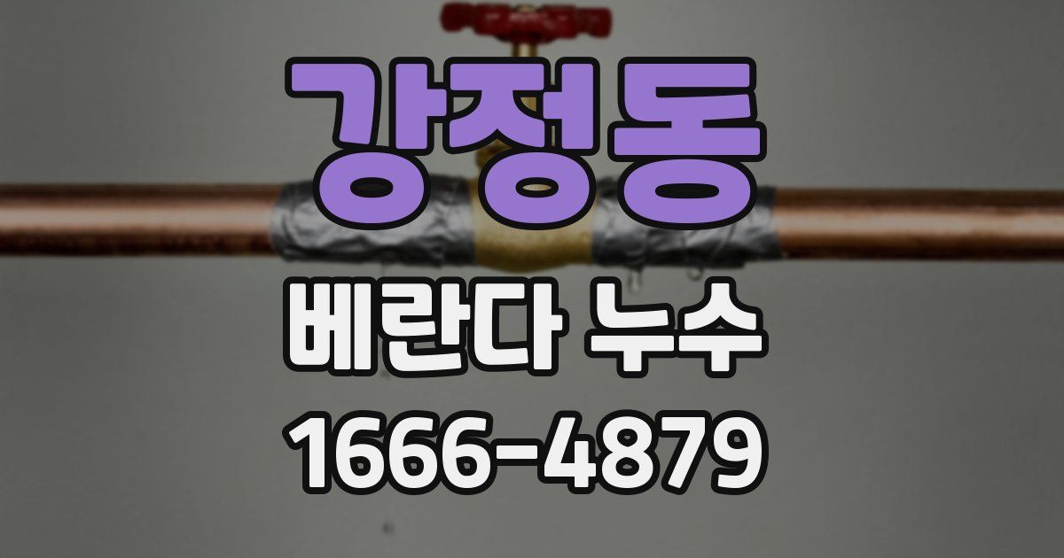 강정동 베란다 누수