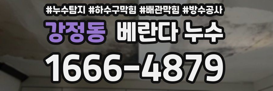 강정동 베란다 누수