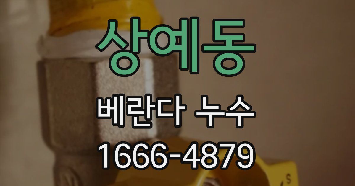 상예동 베란다 누수