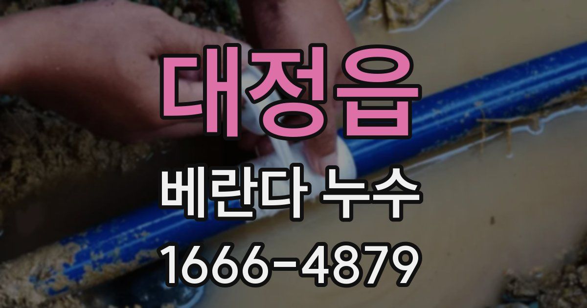 대정읍 베란다 누수