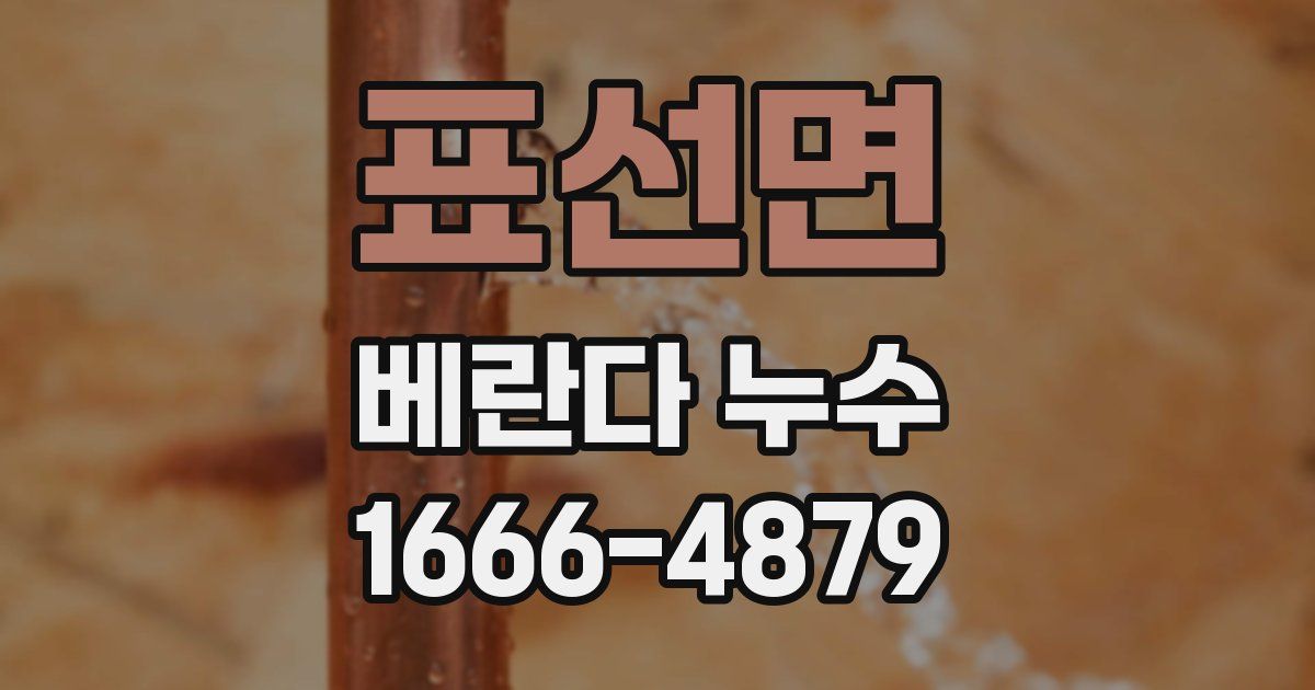 표선면 베란다 누수