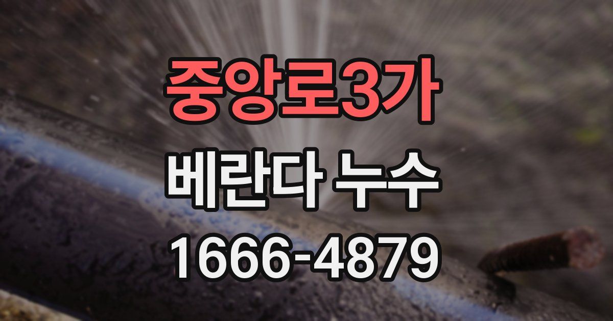 중앙로3가 베란다 누수